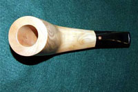 Olifant Mirto D
